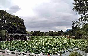 KUNMING - Parc Daguan - 44